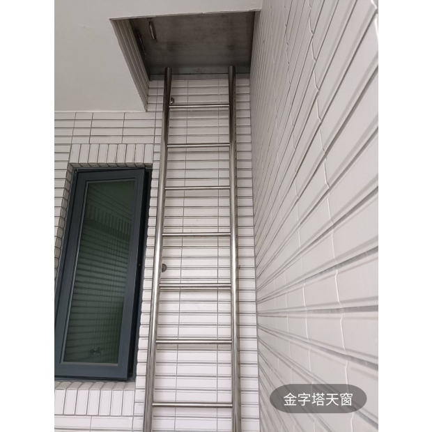 traditional-stainless-steel-roof-ladder-before.jpg