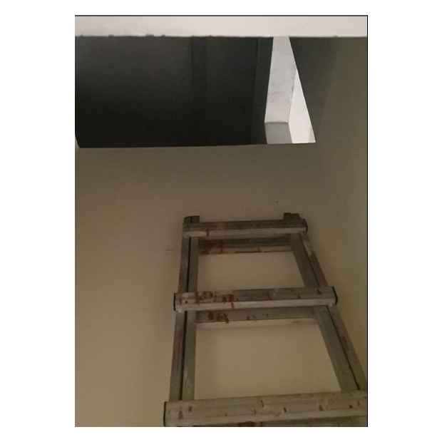 yunlin-old-aluminum-ladder-before.jpg